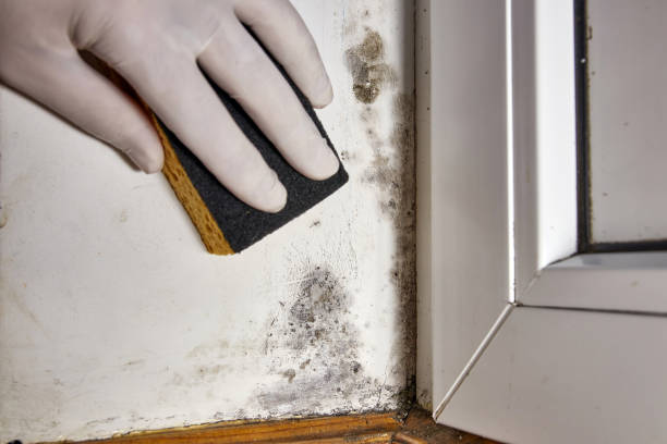 Best Post-Remediation Verification Testing  in Gordon, GA